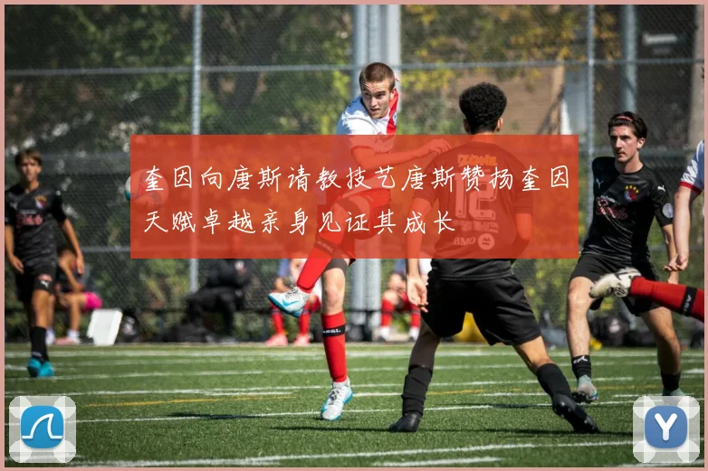 奎因向唐斯请教技艺唐斯赞扬奎因天赋卓越亲身见证其成长